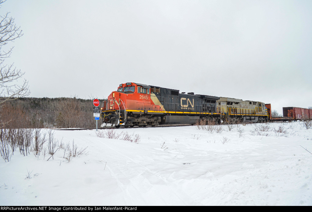 CN 2645